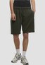 olive_144592