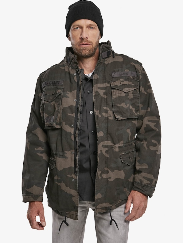 M65 Giant Winter-2