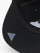 Wl Earn Respect Curved Cap-2