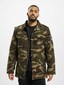 camouflage_31235