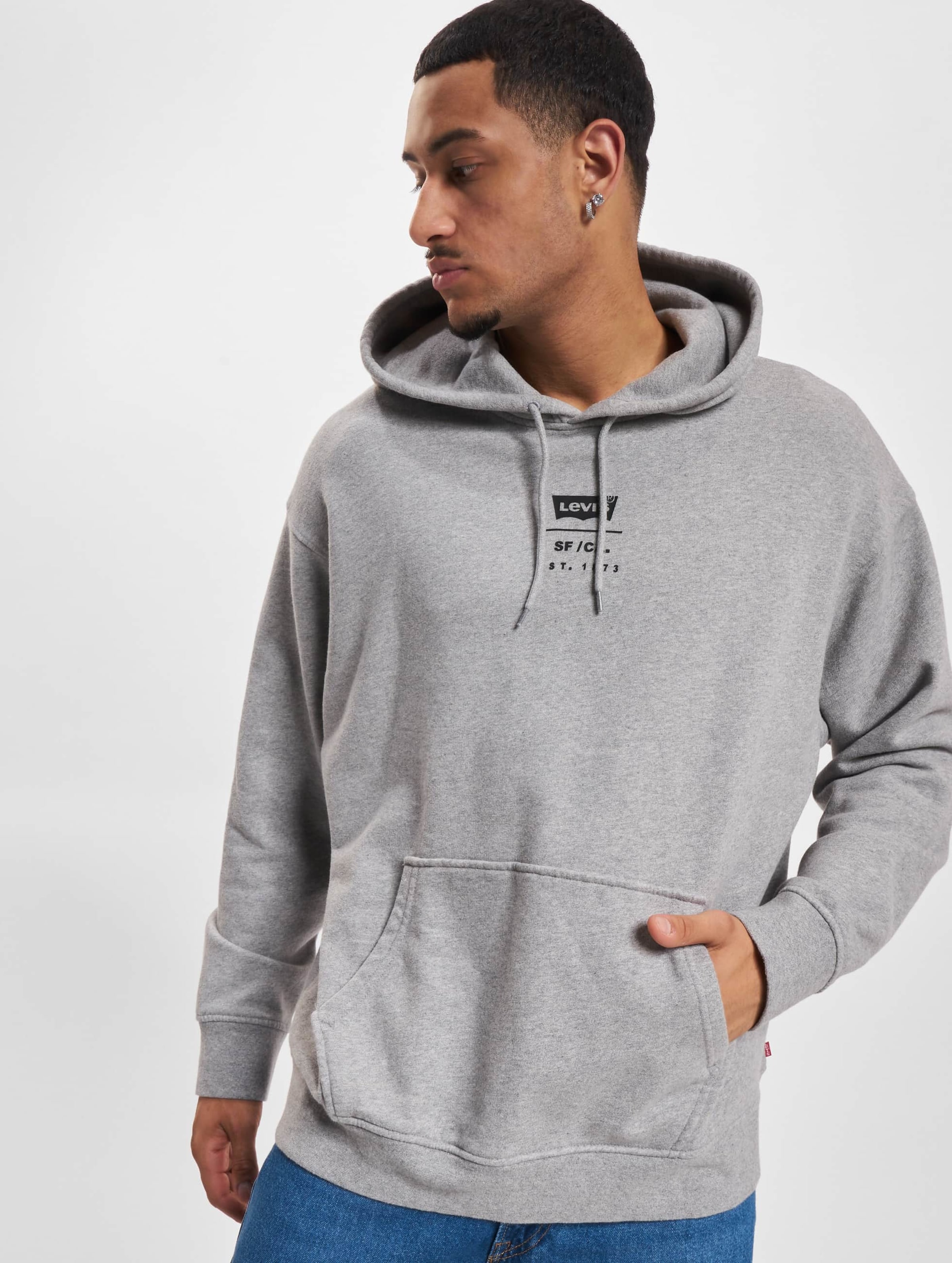 Levis grey online hoodie