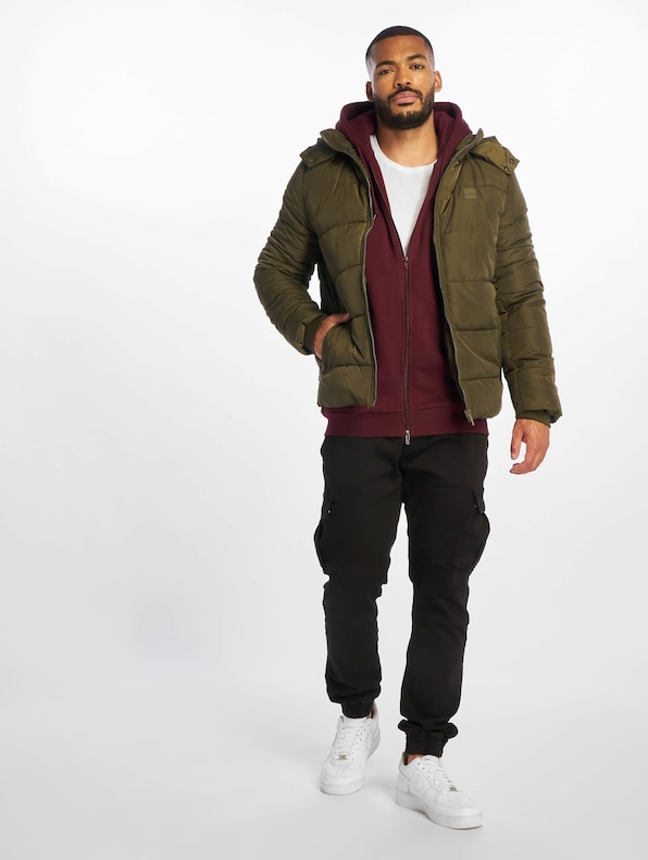 Hooded Puffer-3