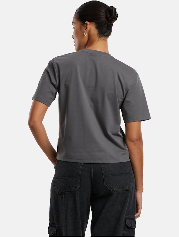 Ladies Sorona Loose Fit Tee-1