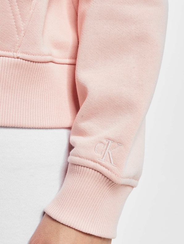 Calvin Klein Monogram Logo Hoody Pink Blush-3
