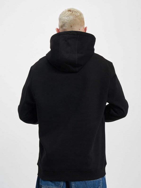 Dplogo Color Details-1