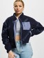 blue_22788