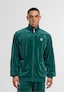 green_186384