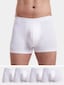 white_3639