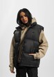 Puffer -6