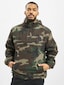 camouflage_38250