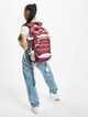 Forvert Ice Louis Backpack-14