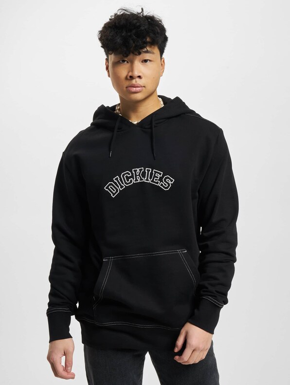 Dickies West Vale Hoodie-2