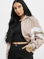 rose_7890