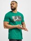 green_62291