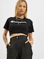 black_86584