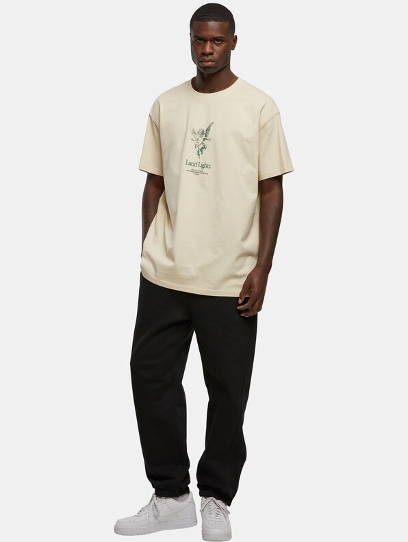 Lucid Lights Heavy Oversize Tee-3