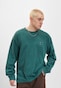 turquoise_107356
