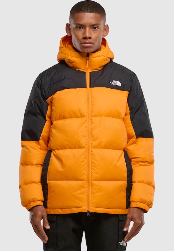 The North Face Diablo Down Weste-2
