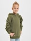 olive_2164