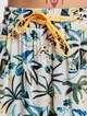 Waikiki -3