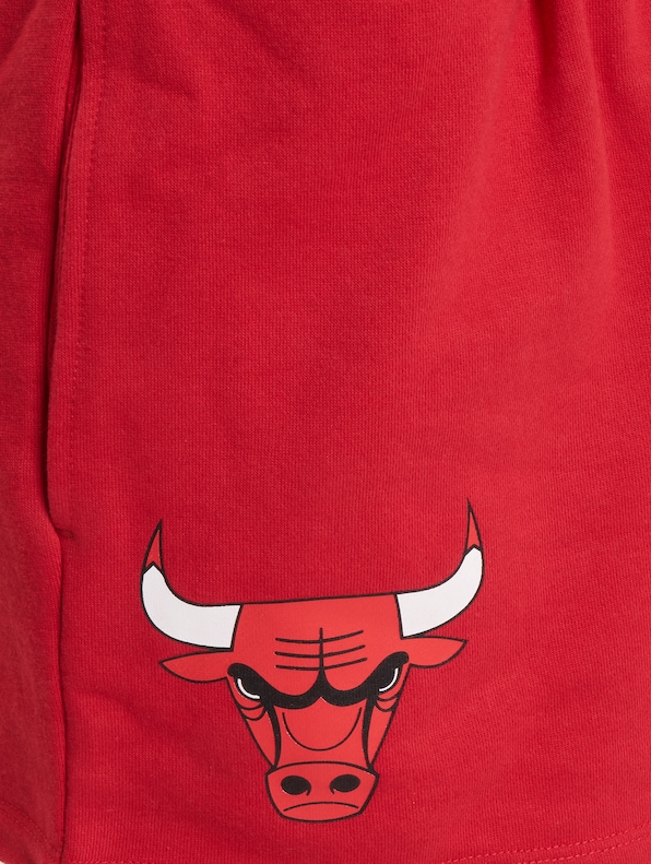 NBA Team Logo Chicago Bulls-3