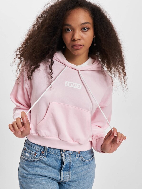 Levis Graphic Laundry Hoodie-0