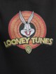 Looney Tunes Bugs Bunny Logo-3