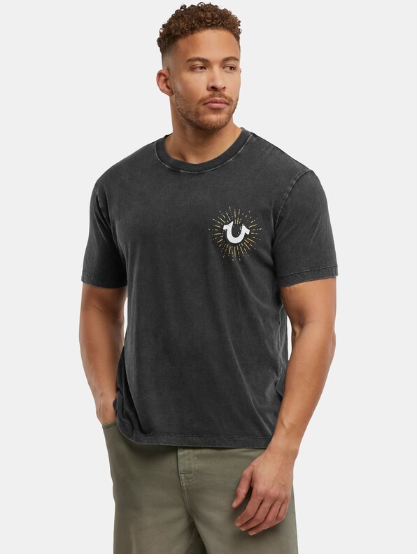 True Religion MINERAL SHINING CREST TEE-0