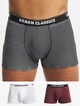 Organic 3-Pack-0