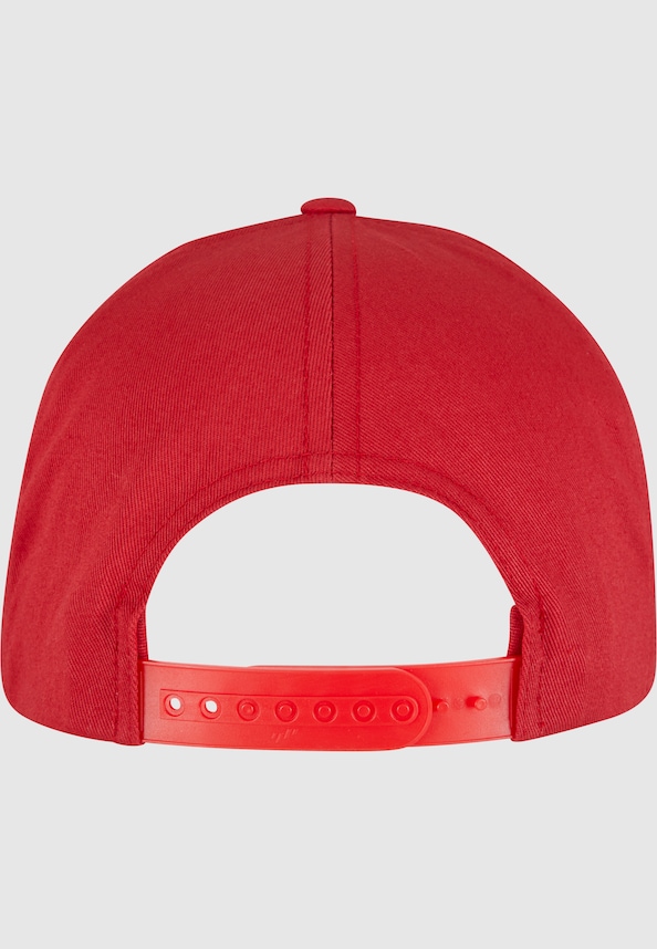 5-Panel Curved Classic Snapback-1