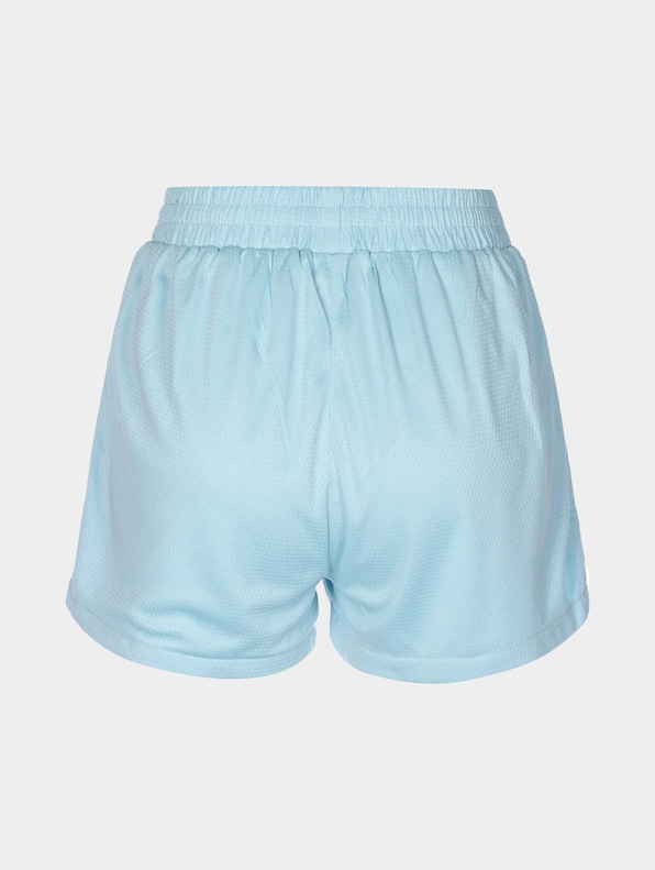 Small Signature Mesh Shorts-1