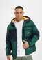 green_106930