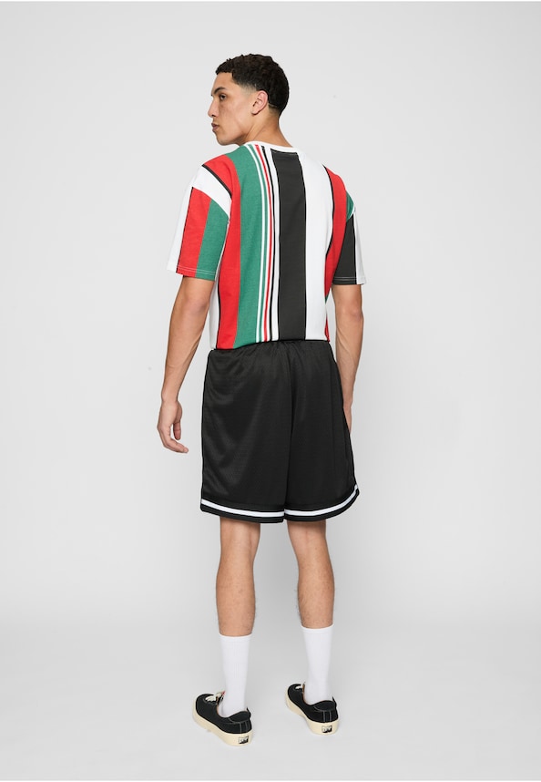 FM222-024-1 Fubu Corporate Mesh Shorts-3