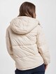 Tommy Jeans Contrast Hood-1