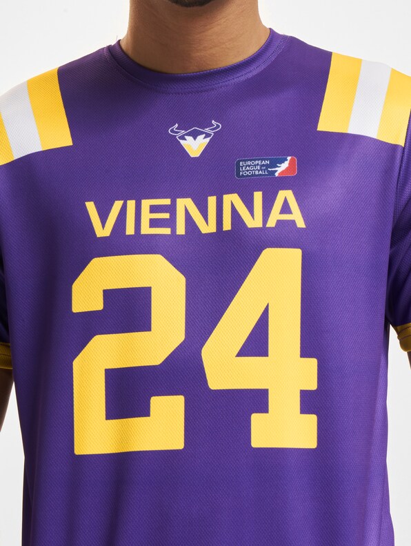 Vienna Vikings 1-3