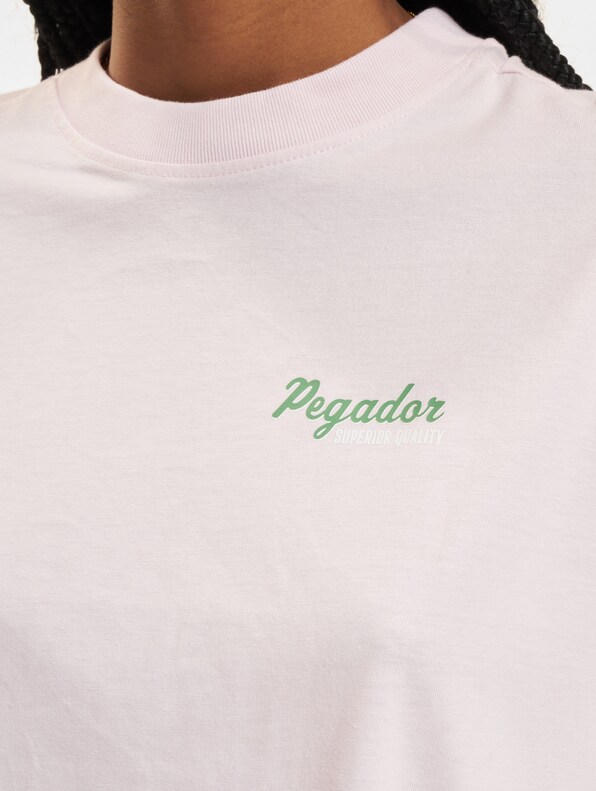 PEGADOR Chapi Heavy Oversized T-Shirts-3