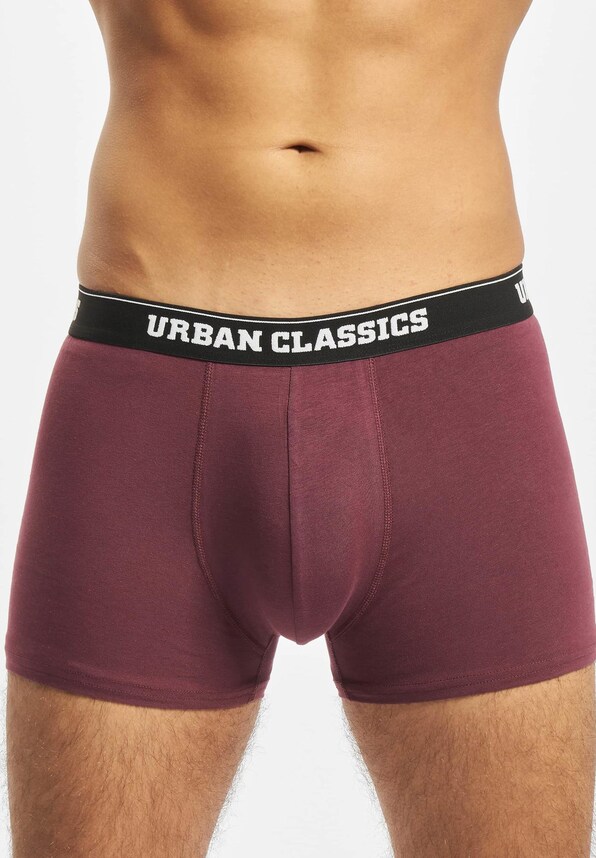 Organic Boxer Shorts 5-Pack-4