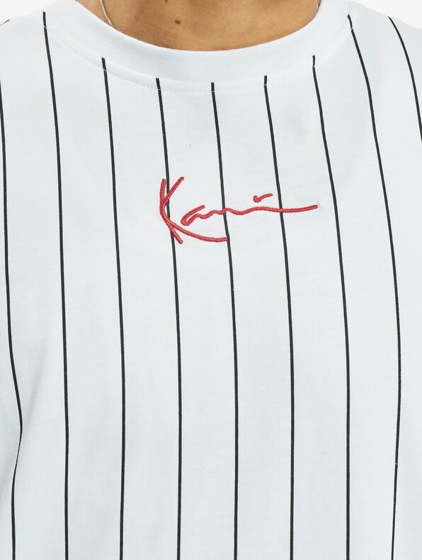 Small Signature Pinstripe-3