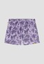 violet_195241