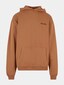 brown_13808