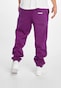 violet_80286