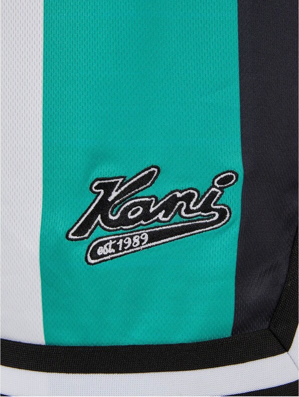 Varsity Striped Mesh-4