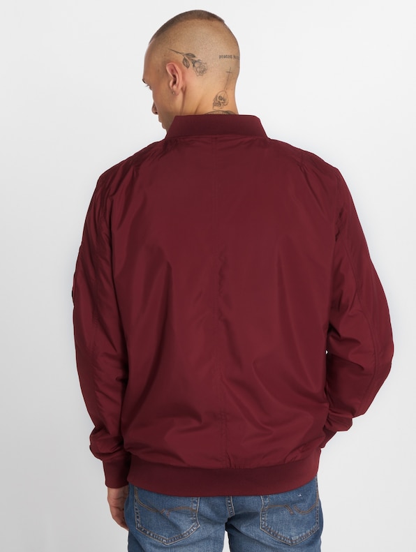 Light Bomber-2