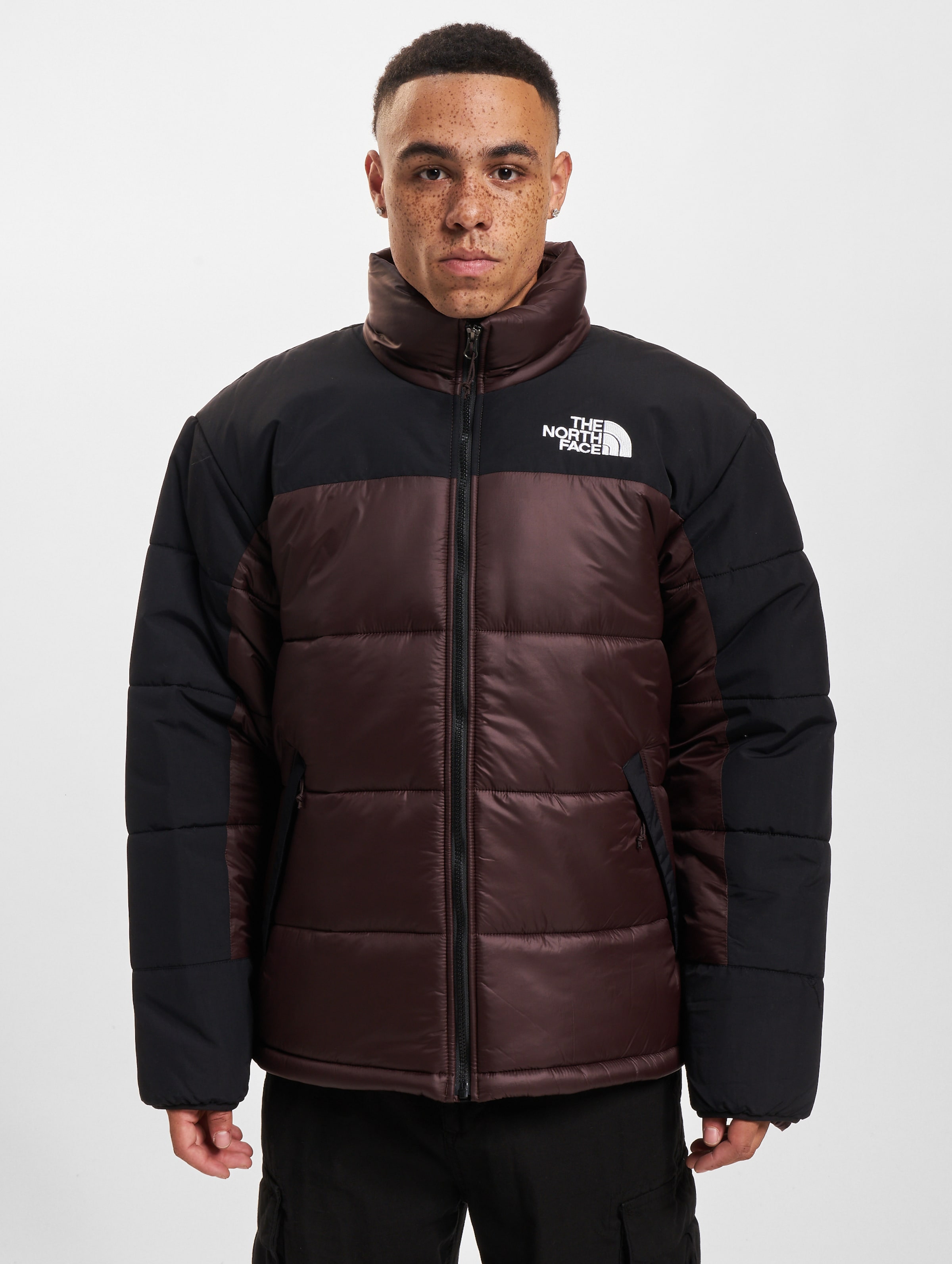 The north face hot sale nuptse jacket 2