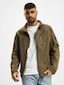 olive_38000