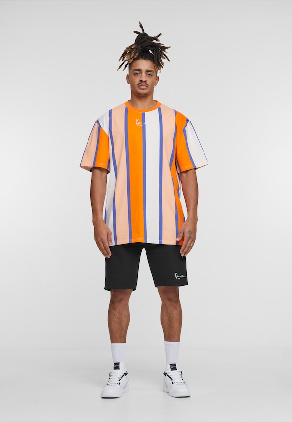 Small Signature Stripe-4