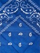  Bandana 3-Pack-3
