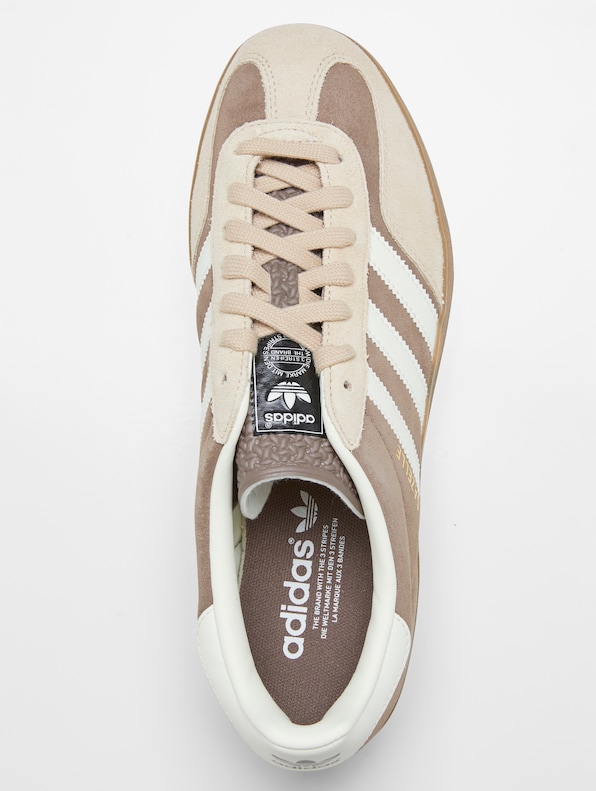 Gazelle Indoor -4