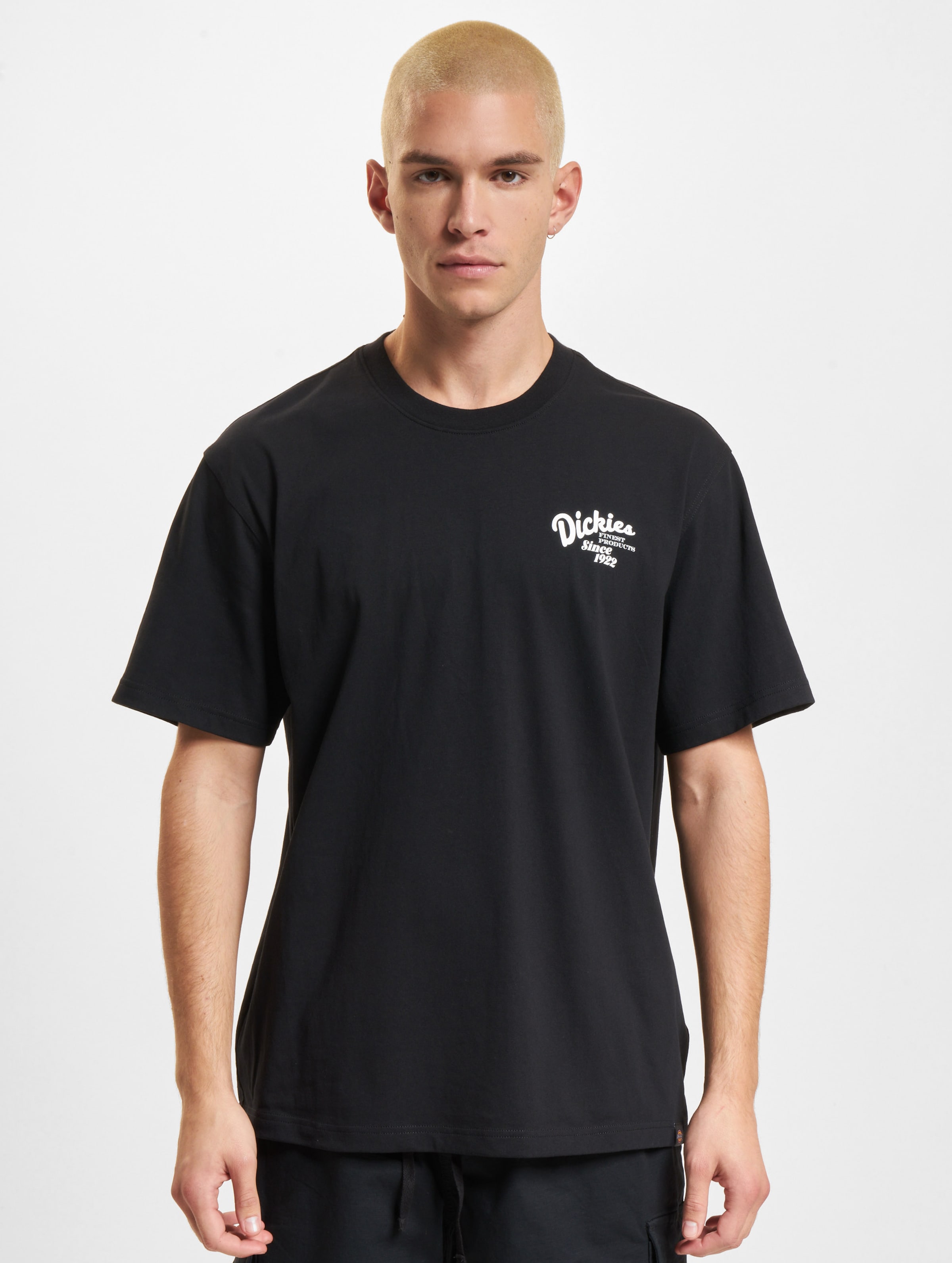 Dickies Raven T-Shirt Mannen op kleur zwart, Maat XL