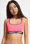 pink_109666